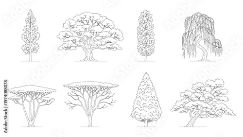 Diverse collection of natural tree outlines in detailed line art, showcasing various species and shapes, ideal for landscape design