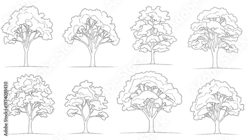 Diverse collection of outline illustrations depicting various deciduous trees for natural design elements and arboreal concepts