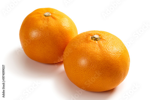 愛媛産の新しい柑橘類、せとか