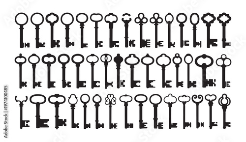 Silhouette key icons with various shapes for access management and property ownership symbol collection.
