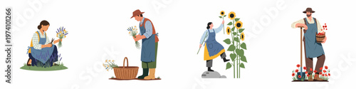 Flat vector illustrations of diverse gardeners and farmers harvesting lavender, sunflowers, and poppies in a rural farm setting.