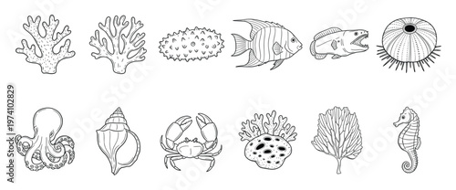 Underwater wildlife collection featuring various marine animals and coral reef elements for educational materials coloring pages and ocean themed projects