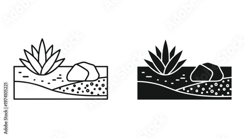 succulent plant line art illustration, black and white