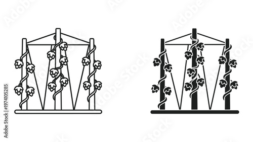 black and white illustrations of climbing plants on trellis