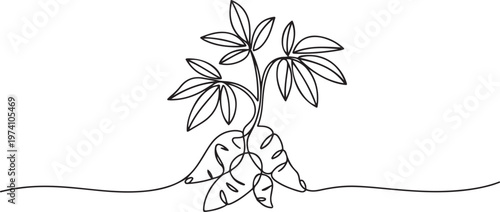 Single continuous line drawing of whole healthy organic cassava for plantation logo identity. one line art icon drawing vector