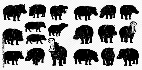 Set of black hippopotamus silhouettes in various poses, showcasing different angles and actions of the large mammal.