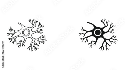 Neuron Cell Biology Science Medical