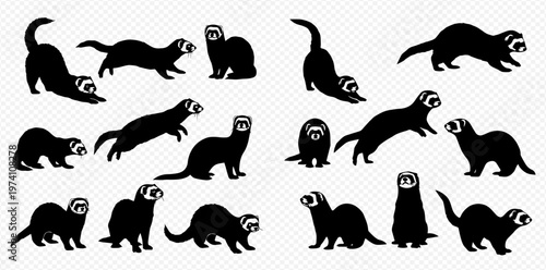 Collection of Ferret Silhouettes in Various Poses, Black and White Vector Illustrations.