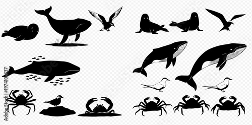 Set of marine animals silhouettes including whales, seals, crabs, and birds on a transparent background.