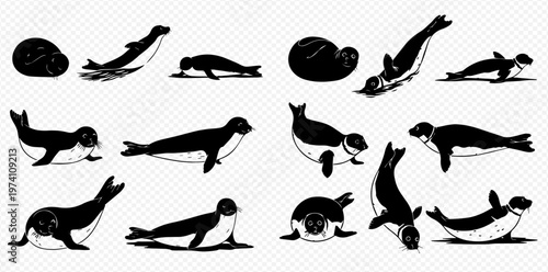 Collection of black and white seal silhouettes in various poses on a transparent background.