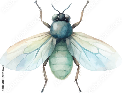 Watercolor Horsefly, Large Fly Insect Clipart, vector illustration isolated on white background