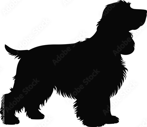 Silhouette of long-haired dog with feathered legs and tail, vector illustration for pets, animals, breed design, care, and creative projects