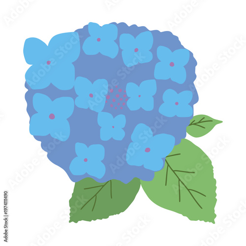 青い紫陽花の花と葉のイラスト　梅雨の時期の背景素材　フラットデザイン
