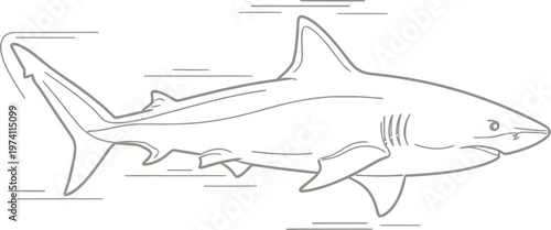 Illustration of a shark swimming in the ocean water