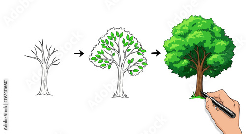 Step-by-step drawing process: from bare tree sketch to vibrant green foliage with hand holding pen