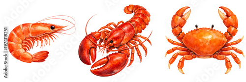 A charming watercolor collection of seafood crustaceans featuring shrimp, lobster, and crab with vibrant shells illustrated in a natural marine food style.