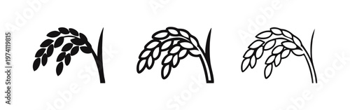 Single Rice Ear Icon Set. Agricultural Plant, Cereal Grain, Paddy Field Symbol Vector Illustration.