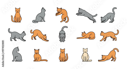 set of funny cats
