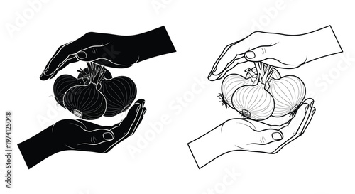 Hands holding garlic bulbs in contrasting black and white illustrations