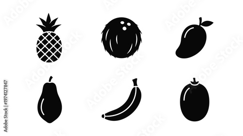 A collection of six silhouetted tropical fruits arranged on a white background