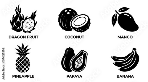 A collection of tropical fruits including dragon fruit, coconut, mango, pineapple, papaya, and banana arranged artistically on a white background