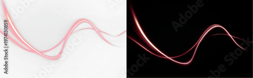 Abstract pink glowing wavy lines or light trails isolated on black and white background, neon flowing smoke effect vector
