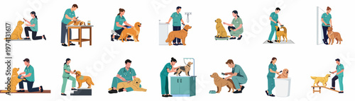 Set of flat vector illustrations featuring veterinarians and professional groomers caring for dogs, including activities like brushing, washing, and health examinations.
