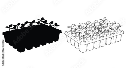 Seedlings growing in plastic propagation trays shown in dual perspectives