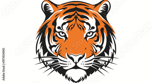 Close up of tiger face portrait.