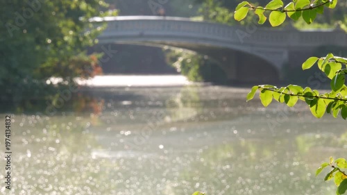 New York City Central Park nature oasis. Bow Bridge and lake in summer day, United States. Pond water and greenery in morning light. Autumn fall leaves and Manhattan architecture landmark of NYC, USA.