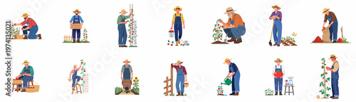 Flat vector illustration set of male farmers in overalls harvesting, watering, and caring for tomato plants in a garden on white background.