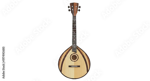 Lute-like string instrument with a round body and wooden construction