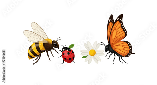 A colorful bee, ladybug, butterfly, and flower illustration on white background.