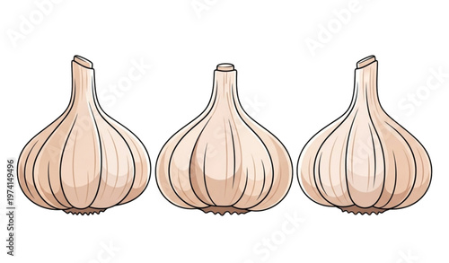 SEO-Friendly Title:
Stylized garlic bulbs vector icon set for web and infographic use