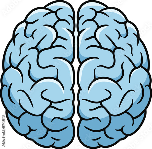 Top-down view of a stylized human brain, separated into two hemispheres.