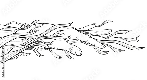Black and white illustration of seaweed.