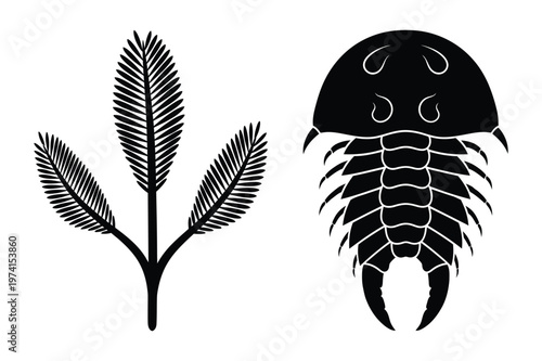 Black illustrations of prehistoric life forms with trilobite, prehistoric