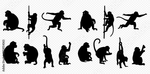 Collection of monkey silhouettes in various poses, including sitting, climbing, and reaching, isolated on a transparent background.