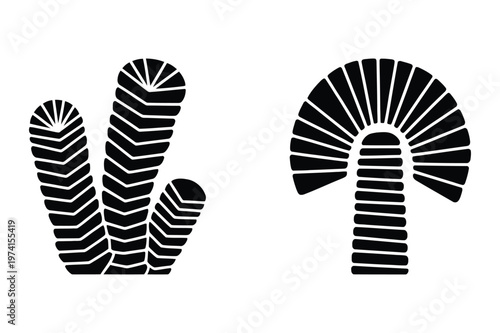 Abstract ribbed coral-like forms and fan-shaped mushroom illustrations