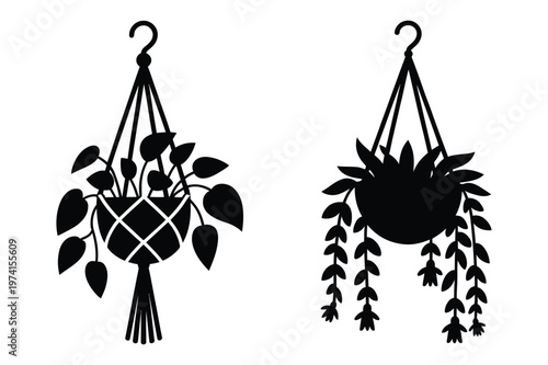 Black silhouette of hanging potted houseplants in macrame planters with trailing