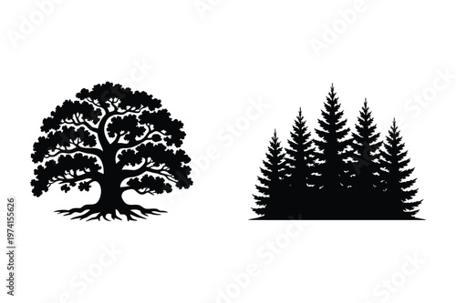 Silhouette illustrations of deciduous oak and evergreen pine forest trees