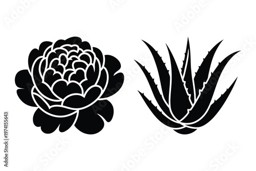 Peony flower bloom and aloe vera succulent plant silhouette vector icons