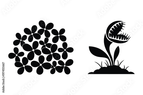 Hydrangea flower cluster and carnivorous venus flytrap silhouette vector plants