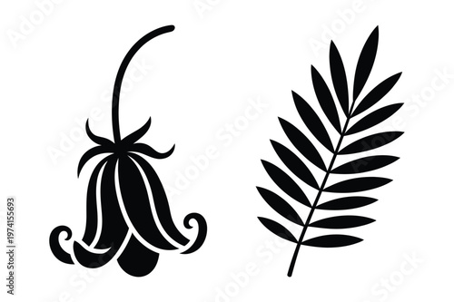 Minimalist black silhouettes of a bell flower bud and a pinnate leaf branch