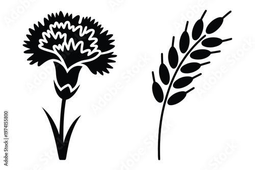 Carnation flower and wheat ear black silhouette botanical elements vector