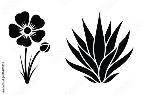 Silhouette illustration of a blooming flower and an aloe vera plant