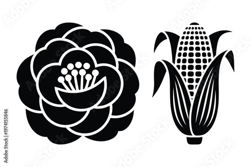 Silhouette vector graphic of a camellia flower and a corn cob with leaves