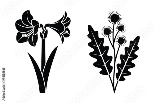 Botanical silhouette set featuring lily flowers and a spiky thistle plant