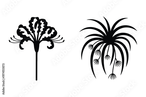 Black silhouette stencils of spider lily flower and air plant foliage vector