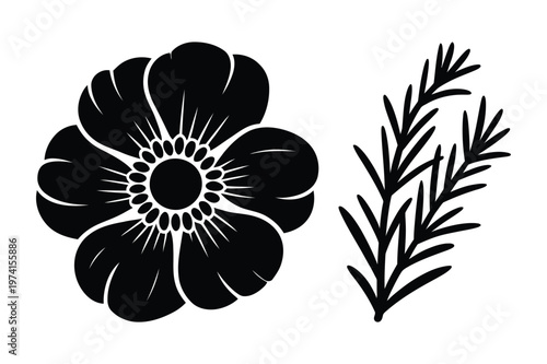 Black silhouette illustration of an open flower head and a rosemary sprig